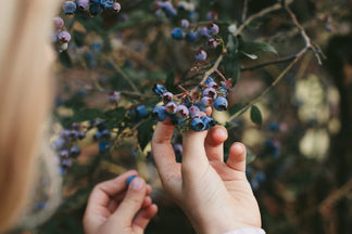 The Season of Berries & Our Ceramic Colanders