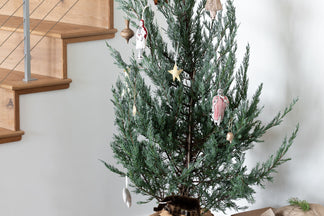 Collecting Holiday Memories